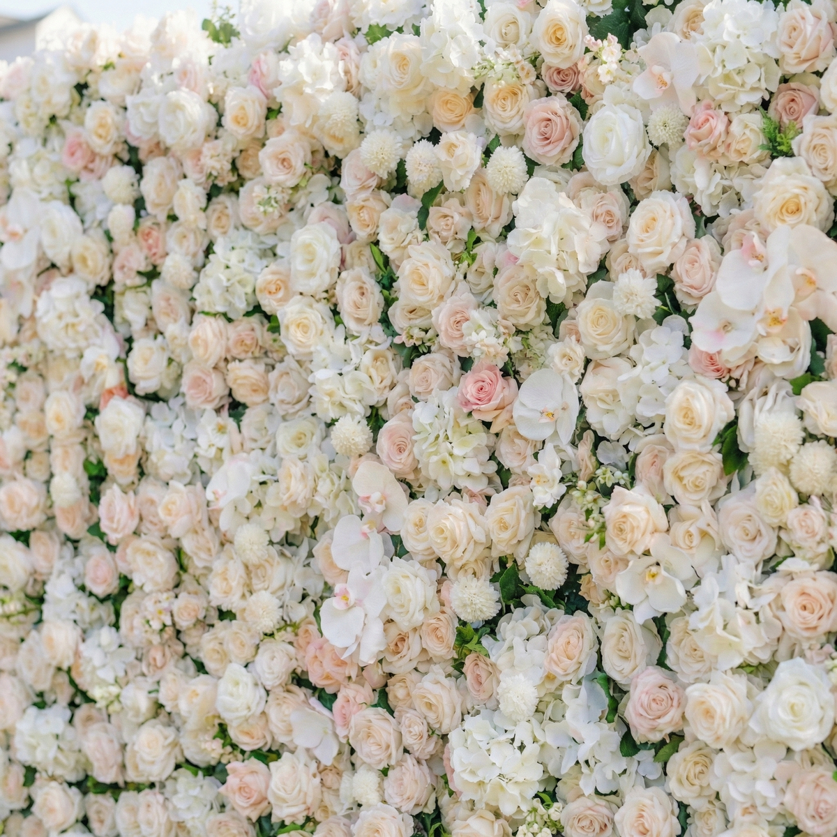 Casey: Premium 5D Soft Blush & White Silk Floral Wall Roll-Up Fabric Backdrop for Dreamy Garden Ceremonies & Elegant Wedding Free Shipping