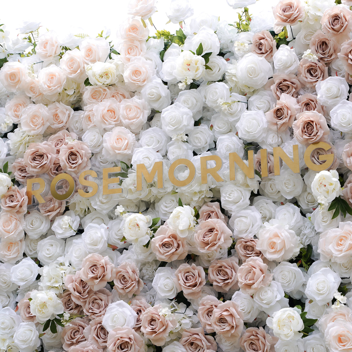 Corrine：5D Fabric Artificial rolling up curtain flower wall Rose Morning