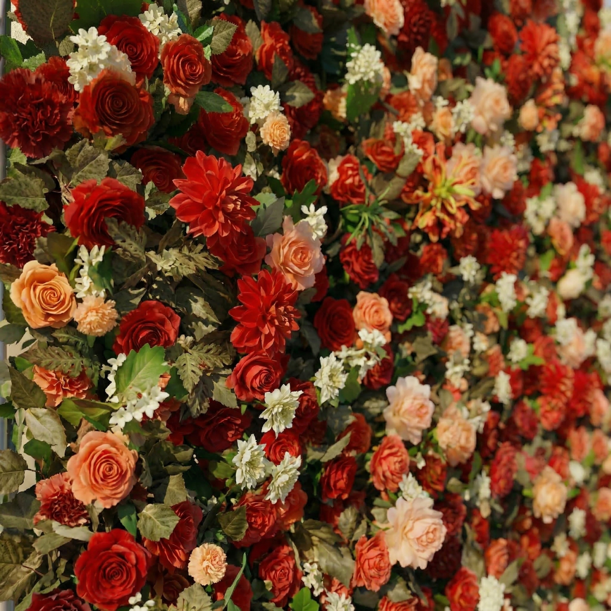 Luxira: 4D Crimson and Champagne Silk Rose Flower Wall Roll-Up Fabric Backdrop for Luxury Weddings & Events Decoration Free Shipping