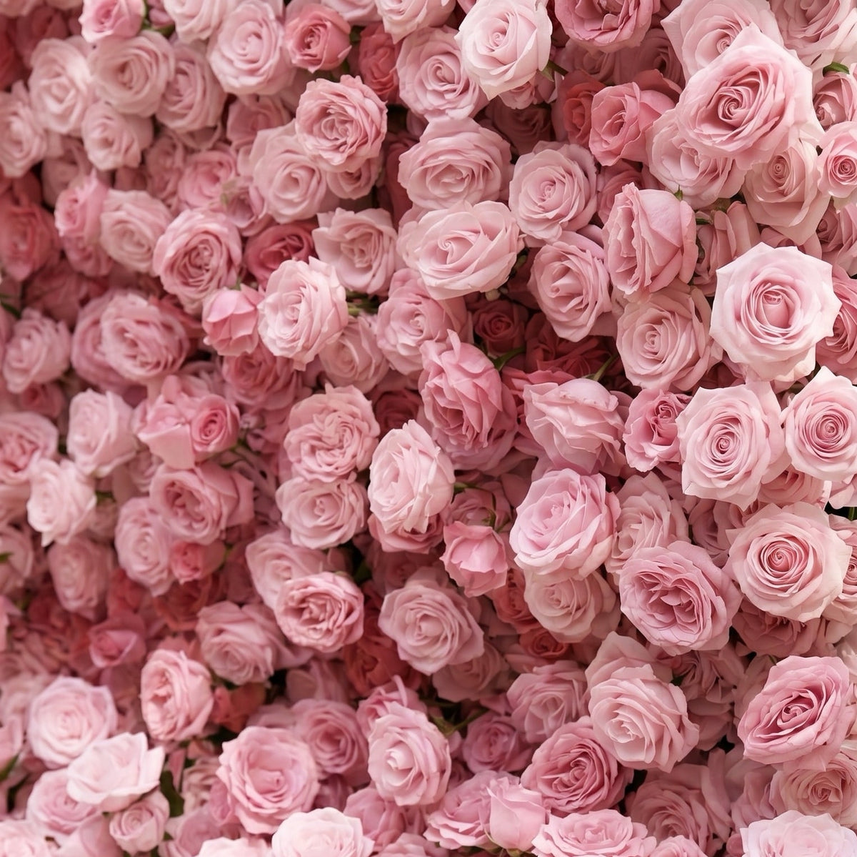 Perira: Luxury 5D Pink Silk Floral Wall Roll-Up Backdrop for Elegant Minimalist Weddings Free Shipping