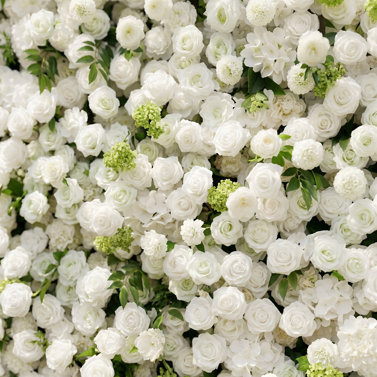 Raellyra:5D Soft Green & Ivory White Silk Rose Flower Wall Roll-Up Fabric Backdrop for Romantic Weddings & Proposals Free Shipping