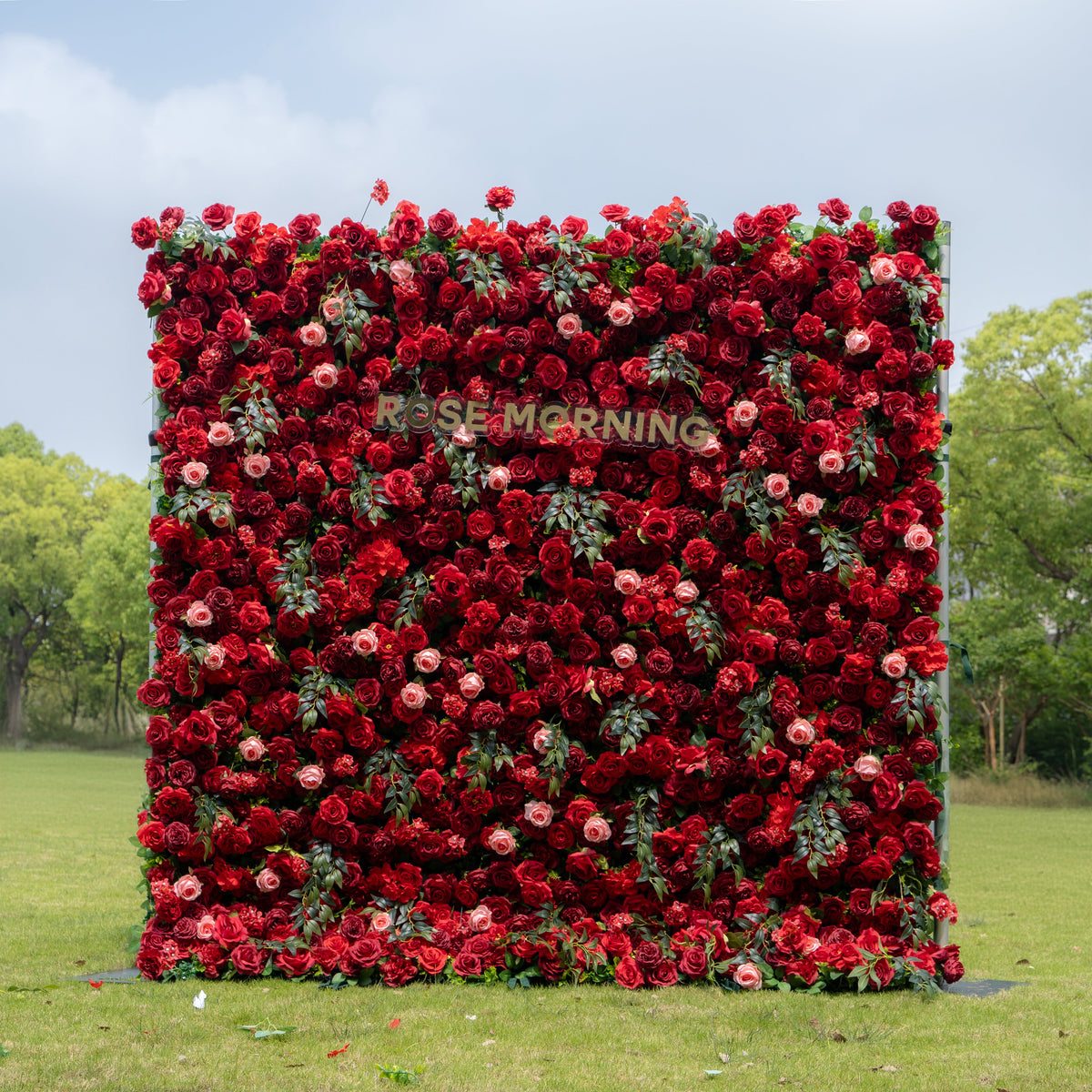 Aileen：5D Fabric Artificial rolling up curtain flower wall (Ship Now from USA) Rose Morning