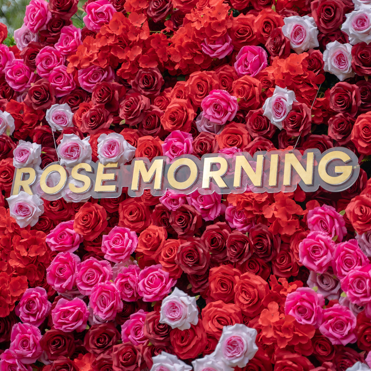 Angelica：4D Fabric Artificial zip up curtain flower wall 8ft*8ft Free Shipping