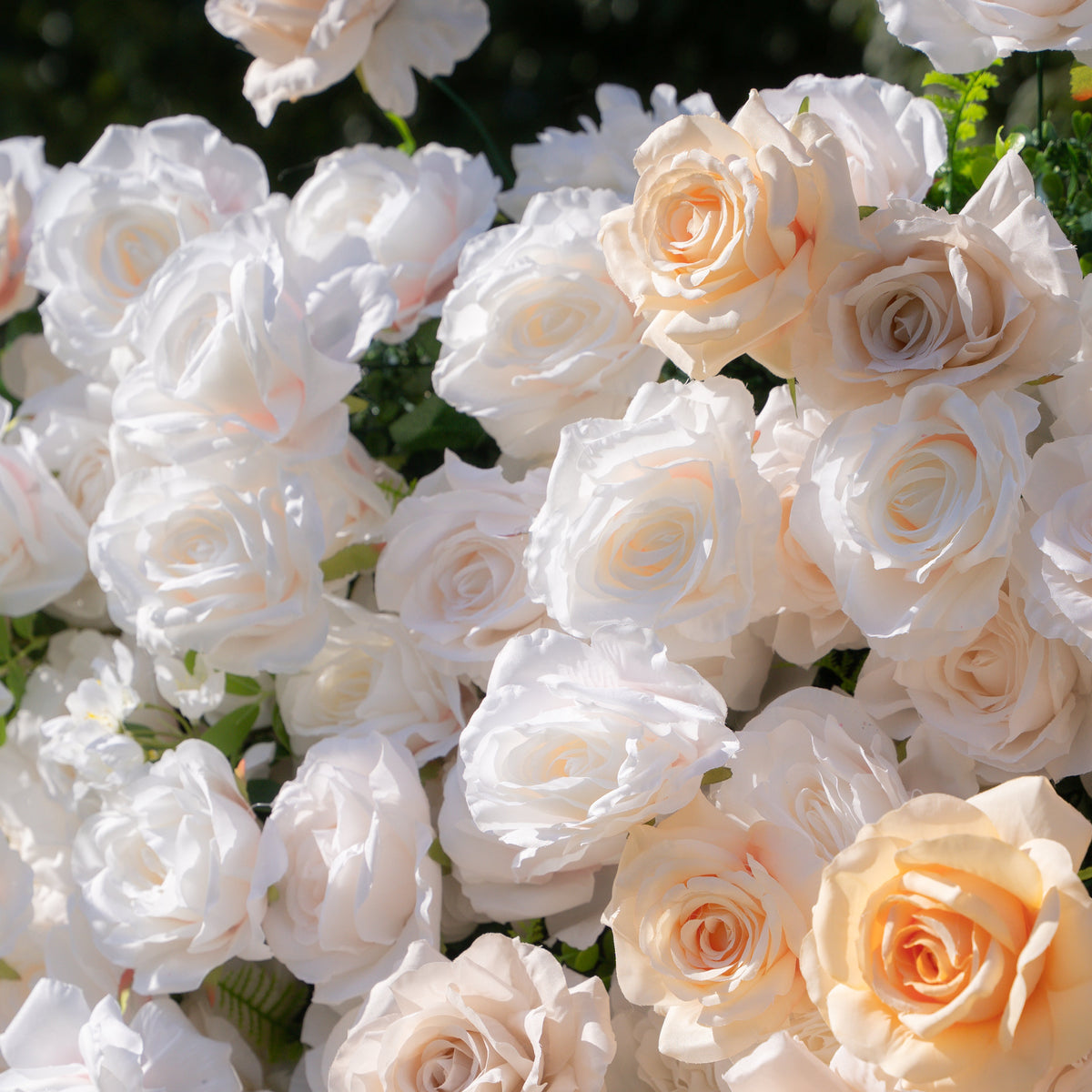 Frangipani：5D Fabric Artificial rolling up curtain flower wall Free Shipping
