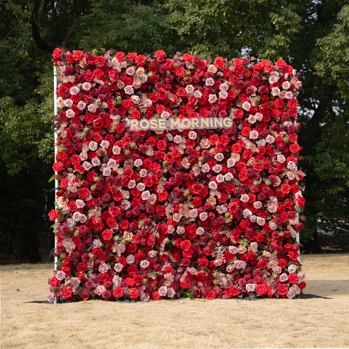 Grazie - Autumn Fall 5D Fabric Roll Up Flower Wall for Wedding Party Event Backdrop Free Shipping