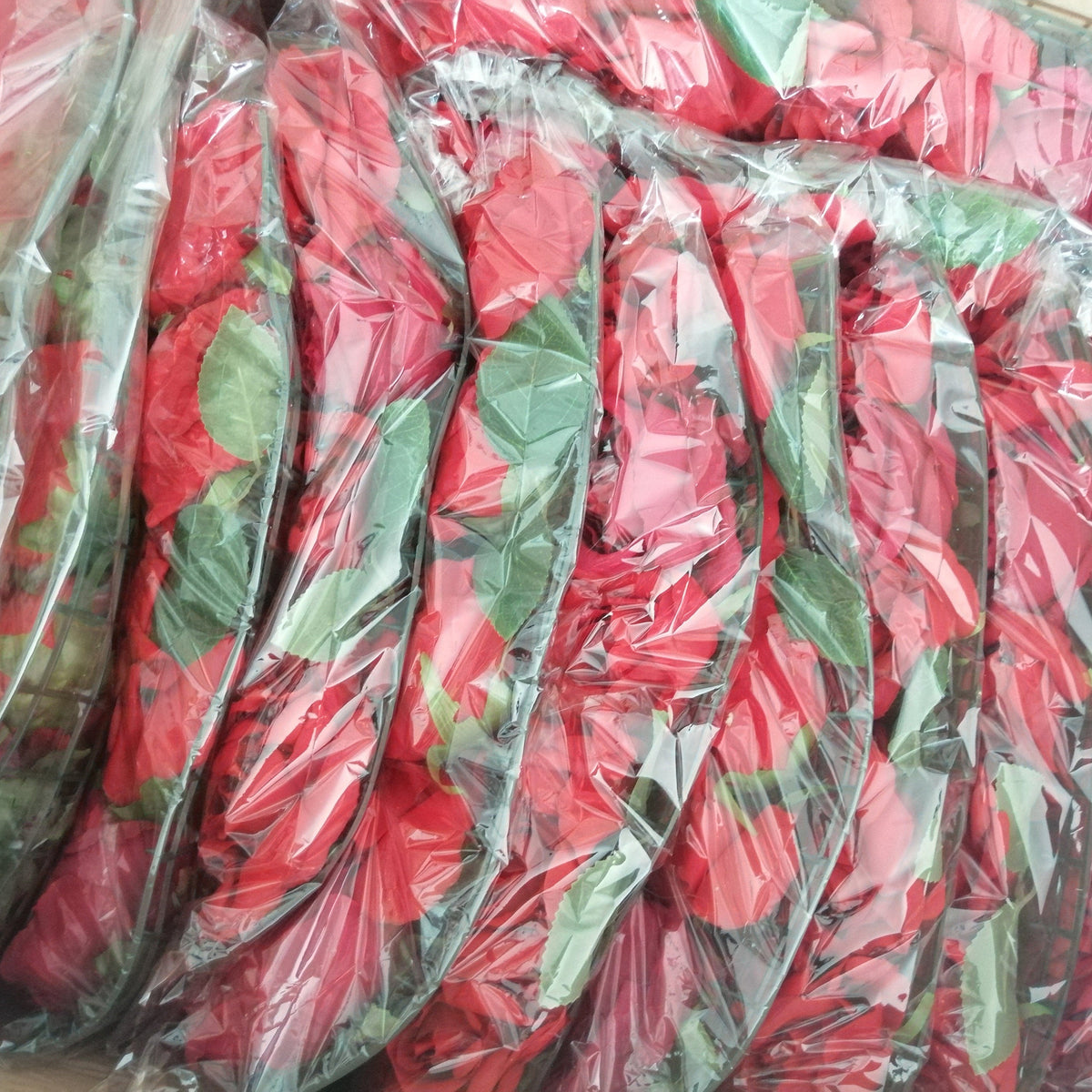 Red Wedding Flower Walls Artificial Rose Peony Green Leaf Background For Romantic Photography Bridal Shower Panel 15.75inch x23.62inch