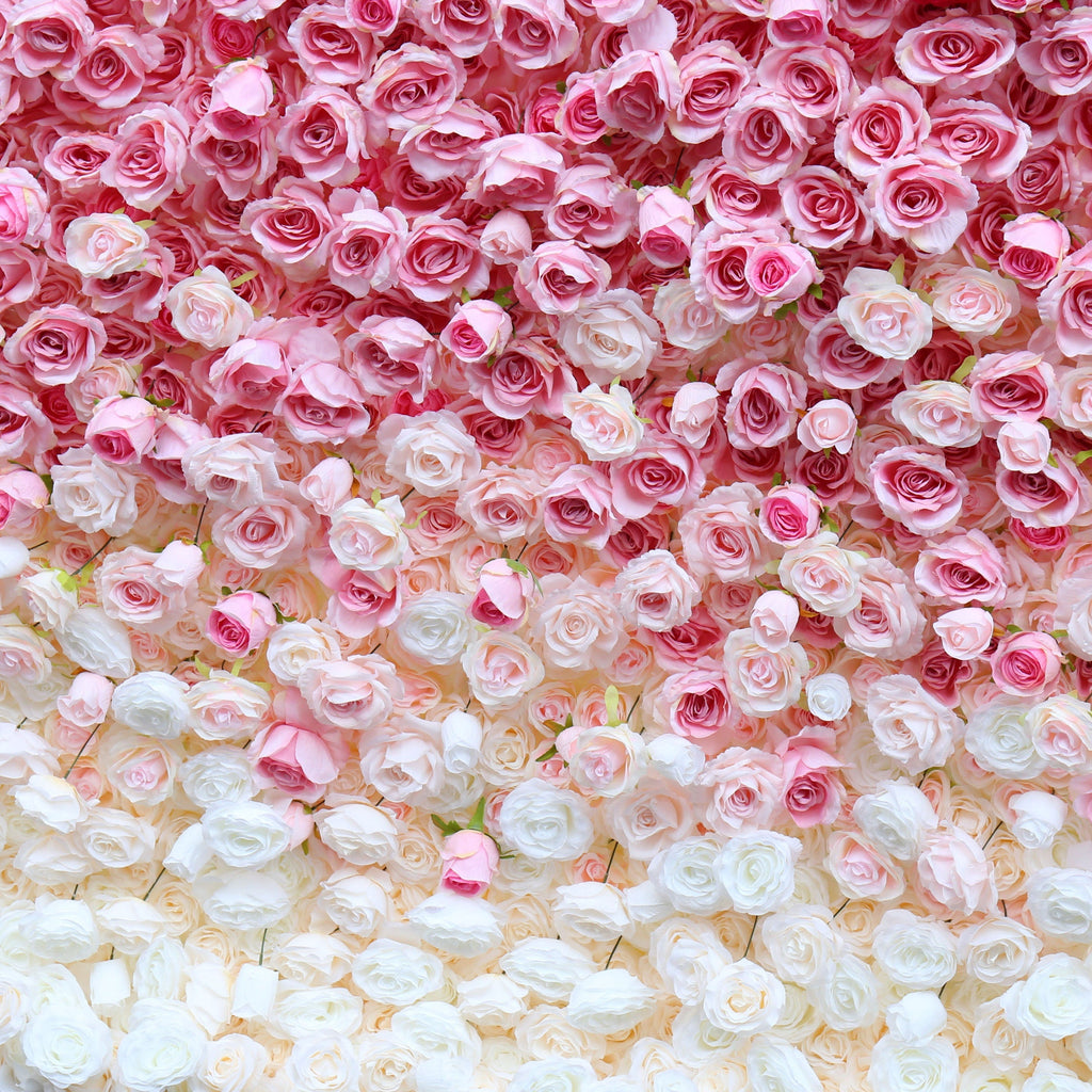 Flower Wall Backdrop [Raspberry Blush Ombre Rose Dual-Sided Roll-Up Fabric Panel] for Ceremony & Photo Booth