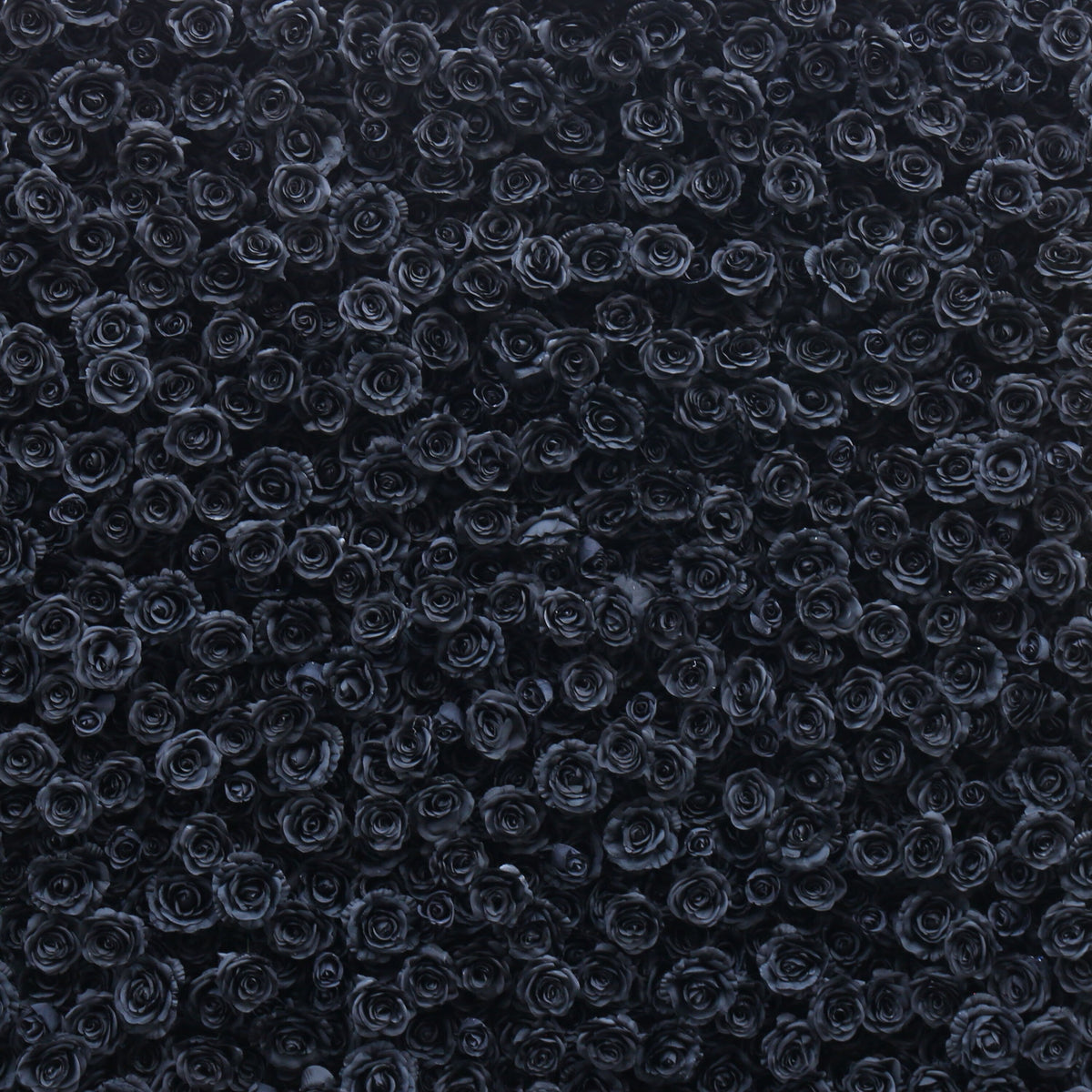 Flower Wall Backdrop [Midnight Noir Black Rose Roll-Up Fabric Panel] for Ceremony & Photo Booth