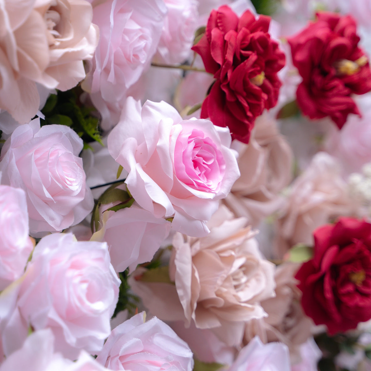 Maylee：5D Fabric Artificial rolling up curtain flower wall (Ready to ship) Rose Morning
