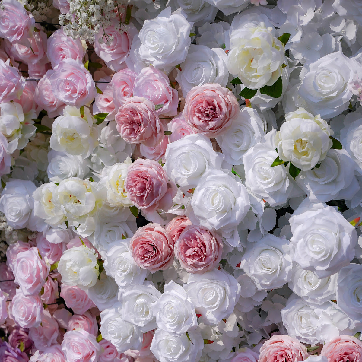 Nari：5D Fabric Artificial rolling up curtain flower wall Rose Morning