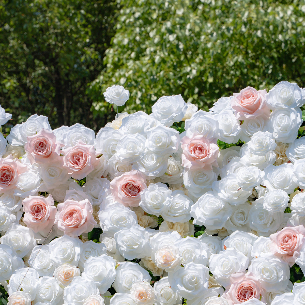 Paisley：5D Fabric Artificial rolling up curtain flower wall (Ready to ship) Rose Morning