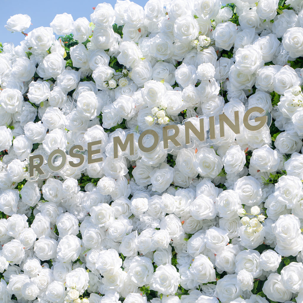 Shy 3D White Flower Wall - Minimalist Wedding Backdrop 8ft×8ft(In US Stock 7-10 Days) Free Shipping