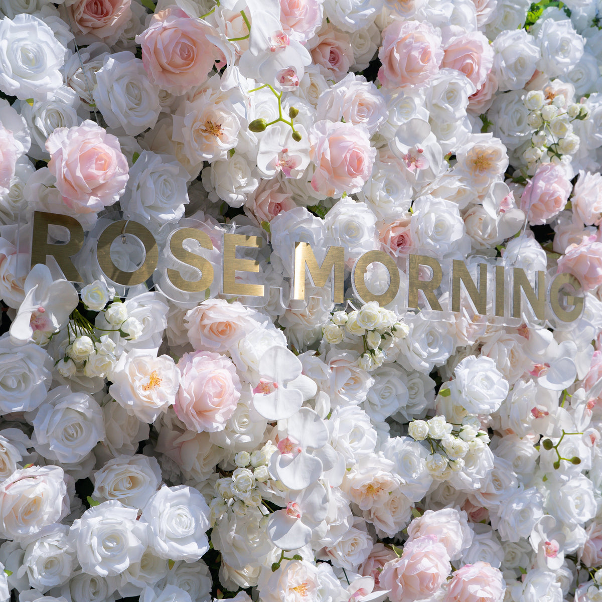 Tiara：5D Fabric Artificial rolling up curtain flower wall Free Shipping
