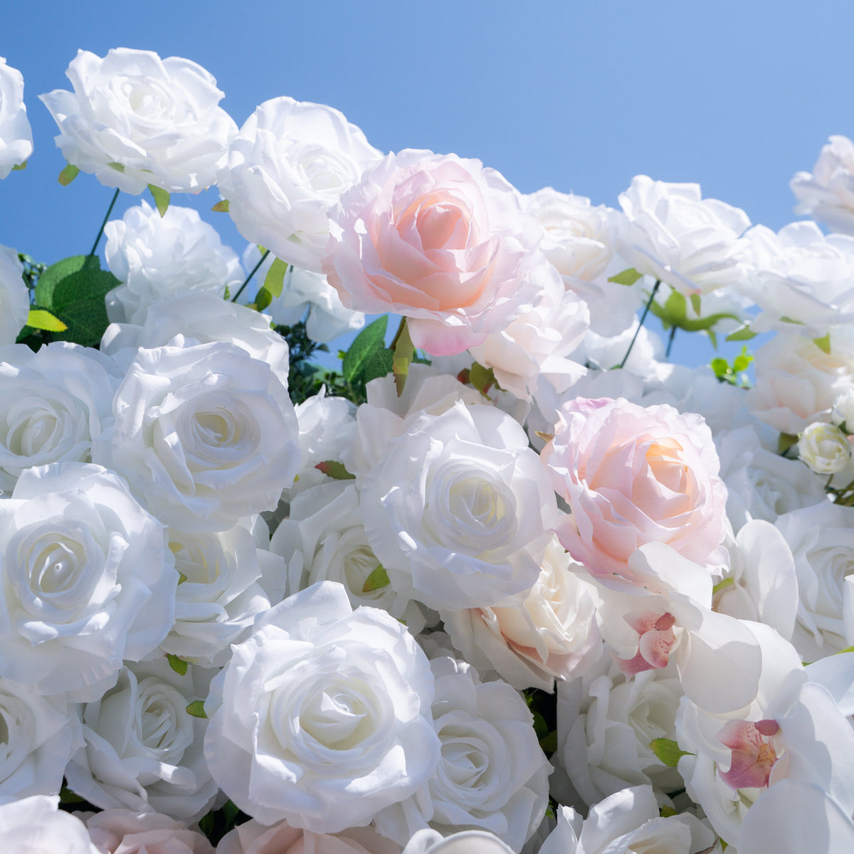Tiara：5D Fabric Artificial rolling up curtain flower wall Free Shipping